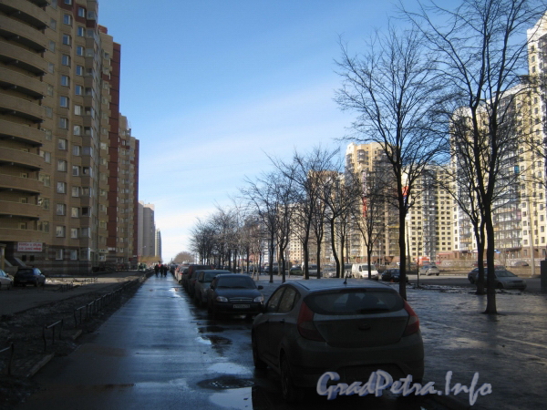 Перспектива пешеходной части нечётной стороны Ленинского пр. от дома 77 корпус 2 (слева) в сторону пр. Кузнецова. Фото март 2012 г.