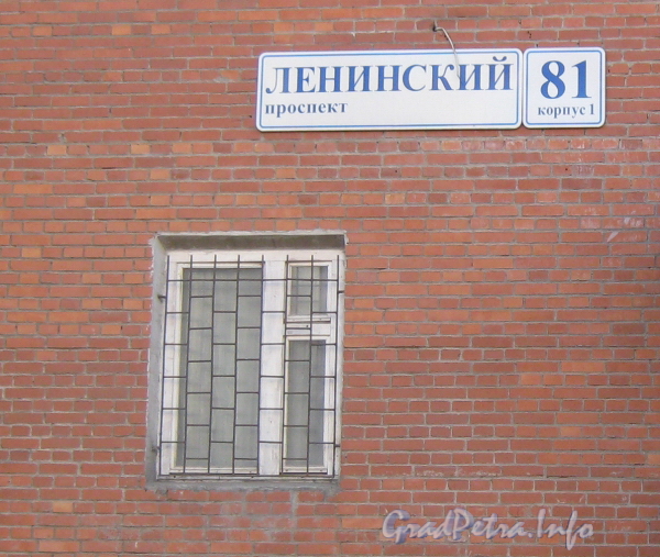 Ленинский пр., дом 81 корпус 1. Окно на первом этаже и табличка с номером дома. Фото март 2012 г.