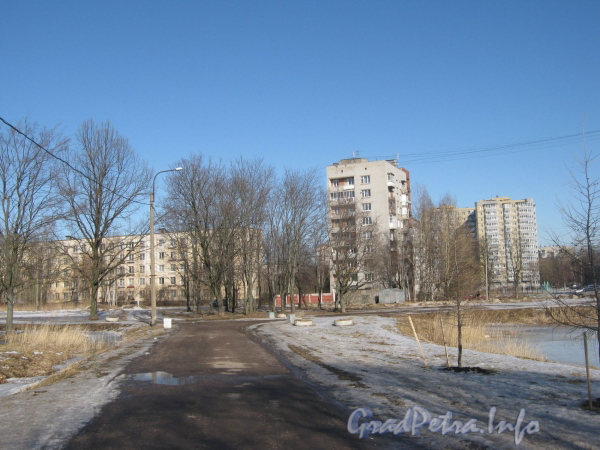 Проспект Стачек, дом 220 корпус 2 (слева) и корпус 3 (в центре). Вид из парка «Александрино». Фото март 2012 г.