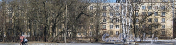 Пр. Стачек, дом 220 корпус 2. Общий вид дома из парка Александрино. Фото март 2012 г.