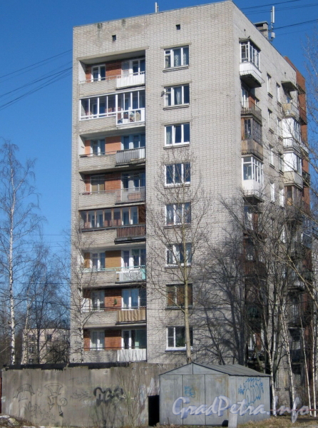 Пр. Стачек, дом 220, корпус 3. Общий вид из парка «Александрино». Фото март 2012 г.