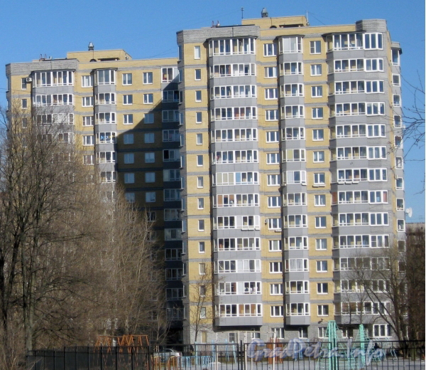Пр. Стачек, дом 212 корпус 3. Общий вид из парка Александрино. Фото март 2012 г.