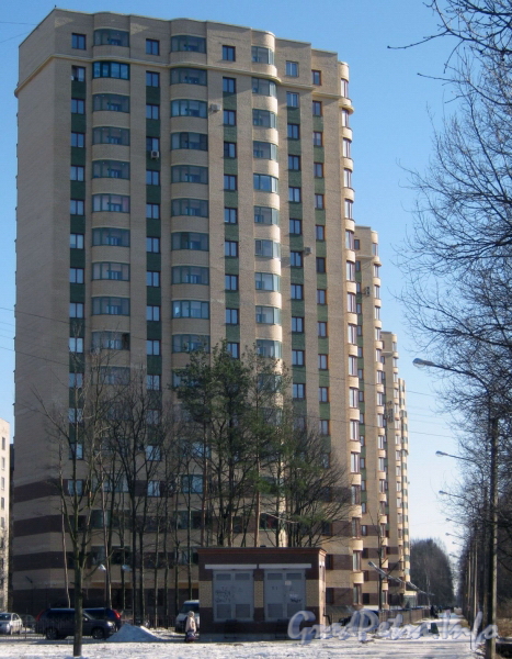 Пр. Ветеранов, дом 75, корпус 4. Вид со стороны дома 31, корпус 5 по ул. Лёни Голикова. Фото март 2012 г.