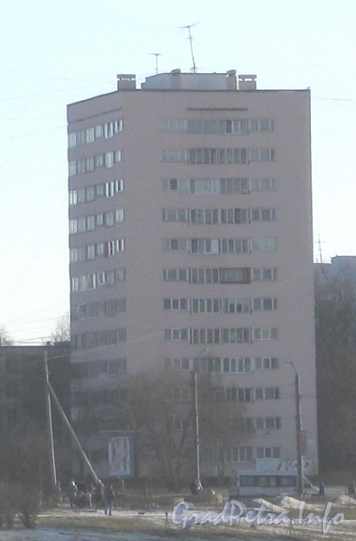 Пр. Ветеранов, дом 100. Общий вид с моста Бурцева. Фото март 2012 г.