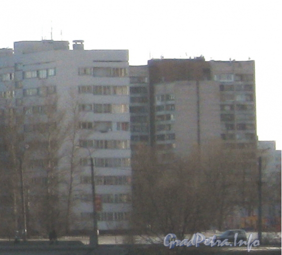 Пр. Ветеранов, дом 104. Общий вид с моста Бурцева. Фото март 2012 г.