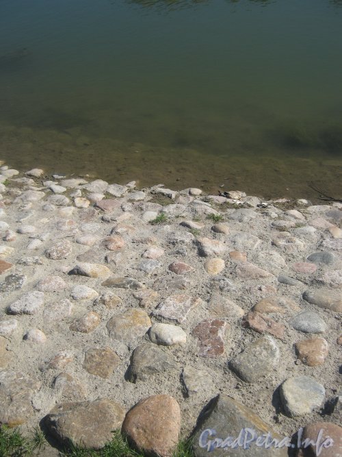 Микрорайон «Форели». Пруд и его мощённый берег. Фото 13 августа 2012 г.