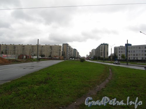 Перспектива проспекта Авиаконструкторов от Шуваловского проспекта в сторону улицы Шарова. Фото 2 сентября 2012 года.