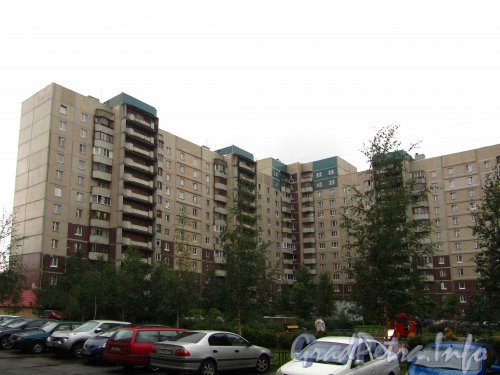Шуваловский пр., дом 59, корп. 1. Общий вид жилого дома со двора. Фото 2 сентября 2012 года.