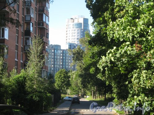 Пр. Энгельса, дом 93 (в центре Фото), дом 6 по ул. Рашетова (слева) и проезд к дому 93 от ул. Рашетова. Фото 4 сентября 2012 г.