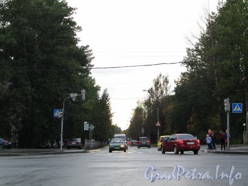 Перспектива Трамвайного проспекта от проспекта Народного Ополчения в сторону бульвара Новаторов. Фото сентябрь 2012 года.