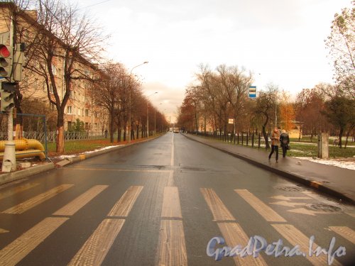 Перспектива улицы Елизарова от улицы Седова в сторону улицы Бабушкина. Фото октябрь 2012 г.