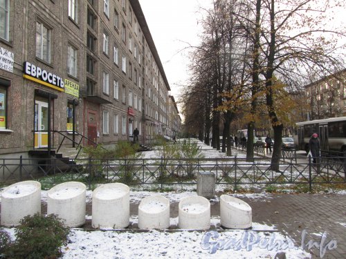 Перспектива четной стороны проспекта Елизарова от улицы Бабушкина в сторону улицы Пинегина. Фото октябрь 2012 г.