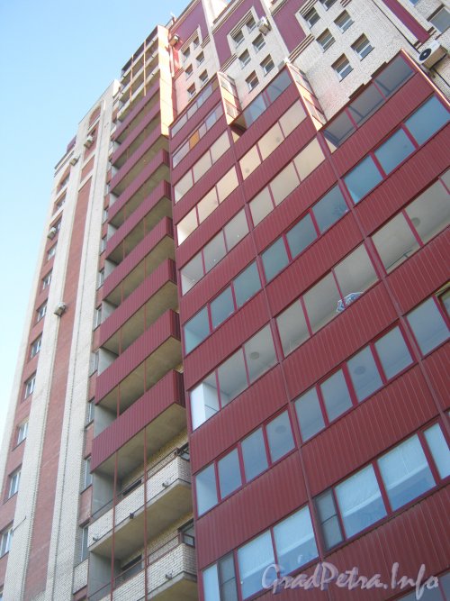 Пр. Мориса Тореза, дом 83. Фрагмент здания. Фото 4 сентября 2012 г.
