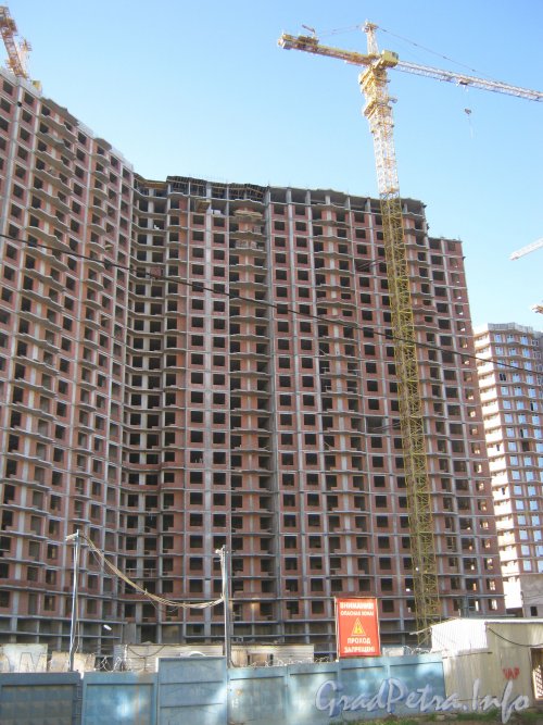 Пр. Просвещения, дом 43. Вид с ул. Руднева на правую часть здания. Фото 4 сентября 2012 г.
