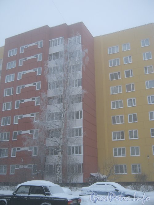 Пр. Маршала Жукова, дом 45. Фрагмент фасада здания и берёза в инее перед ним. Фото утро 10 декабря 2012 г.