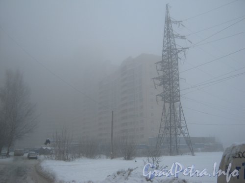 Ленинский пр., дом 99 (в центре Фото). Туман. Вид со стороны двора. Фото утро 10 декабря 2012 г.