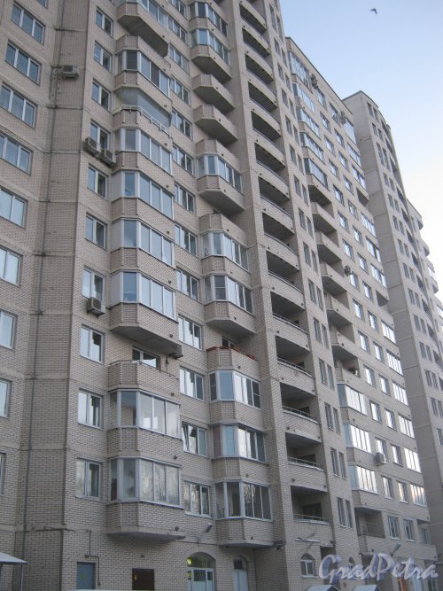 Гражданский пр., дом 116, корпус 5. Общий вид здания со стороны парадных. Фото 24 января 2013 г.