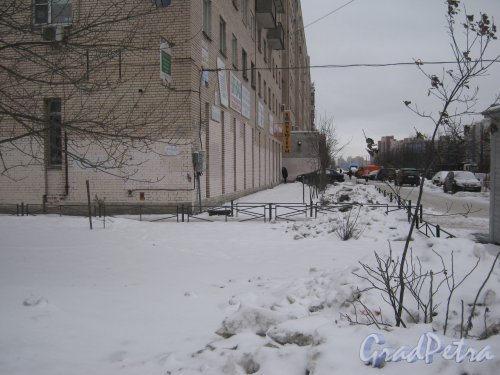 Пр. Прсвещения, дом 62. Полоса зелёных насаждений перед домом зимой. Общий вид с нечётной стороны ул. Руднева. Фото 25 января 2013 г.