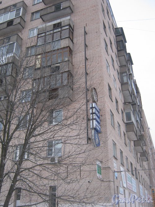 Пр. Прсвещения, дом 62. Угол дома. Общий вид с нечётной стороны ул. Руднева. Фото 25 января 2013 г.