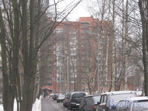 Пр. Луначарского, дом 112, корпус 2. Общий вид со стороны дома 8 по Лужской ул. Фото 30 января 2013 г.