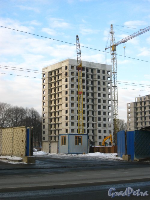 Пр. Медиков, дом 10. Строительство многофункционального жилого комплекса. Возведение одного из корпусов. Фото февраль 2012 г.