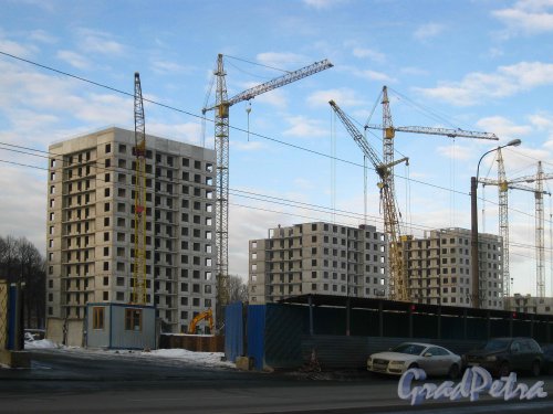 Пр. Медиков, дом 10. Строительство многофункционального жилого комплекса. Фото февраль 2012 г.