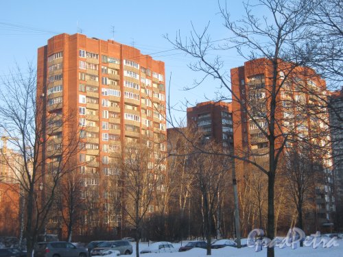 Пр. Культуры, дом 14 (слева) и дом 16 клорпус 1 (справа). Общий вид с пр. Культуры. Фото 5 февраля 2013 г.