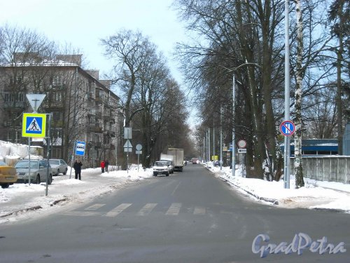 Перспектива Удельного проспекта  от Поклонногорской улицы. Фото февраль 2013 г.
