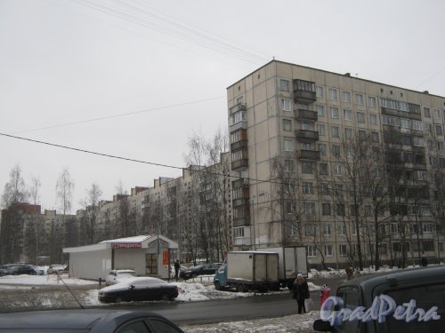 Пр. Луначарского, дом 110. Вид с ул. Черкасова. Фото 30 января 2013 г.