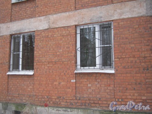 Светлановский пр., дом 53. Фрагмент нижней части фасада здания. Фото 8 февраля 2013 г.