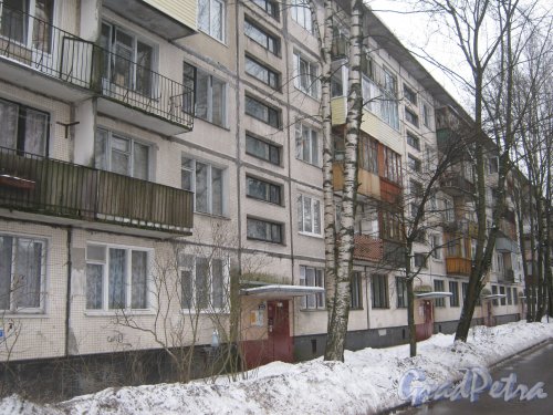Гражданский пр., дом 109, корпус 2. Общий вид здания со стороны дома 8 корпус 2 по ул. Черкасова. Фото 30 января 2013 г.