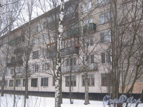 Гражданский пр., дом 107, корпус 3. Общий вид фасада здания со стороны дома 4 корпус 1 по ул. Черкасова. Фото 30 января 2013 г.