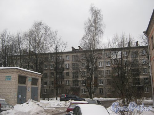 Светлановский пр., дом 63. Общий вид со стороны Зелёной ул. Фото 8 февраля 2013 г.