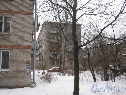 Тихорецкий пр., дом 20, корпус 2 (в центре Фото). Общий вид со стороны Зелёной ул. Фото 8 февраля 2013 г.