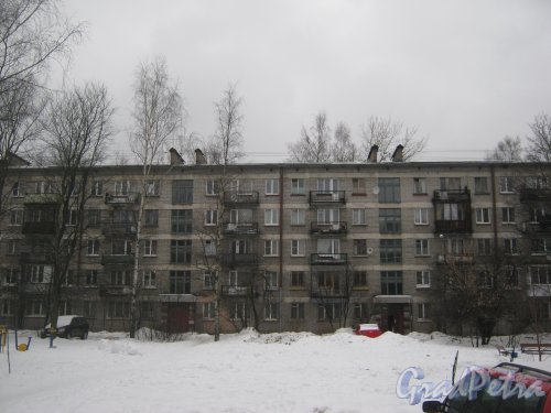 Светлановский пр., дом 61. Общий вид со стороны Зелёной ул. Фото 8 февраля 2013 г.