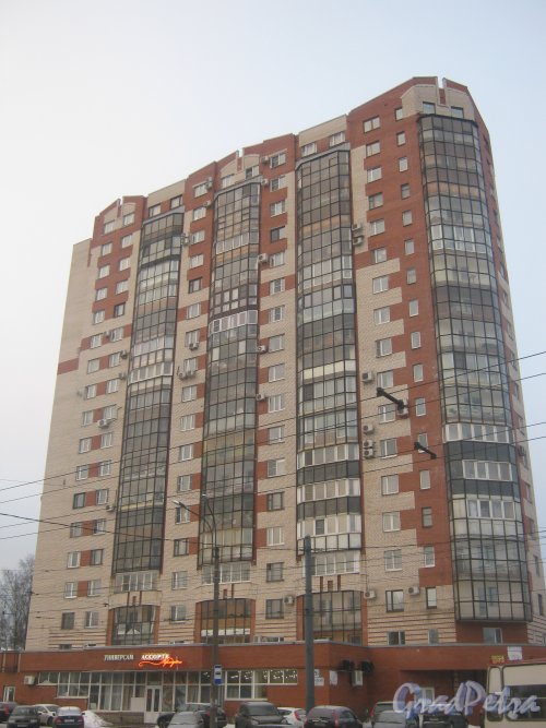 Тихорецкий пр., дом 26. Общий вид здания со стороны фасада. Фото 17 февраля 2013 г.