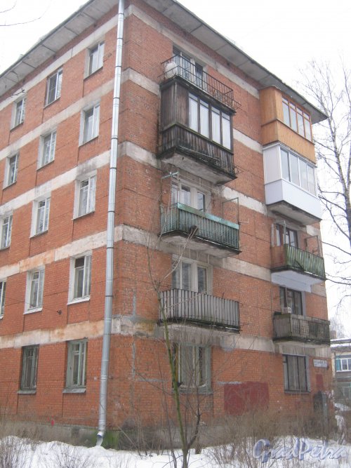 Светлановский пр., дом 59, корпус 2. Общий вид со стороны Зелёной ул. Фото 8 февраля 2013 г.