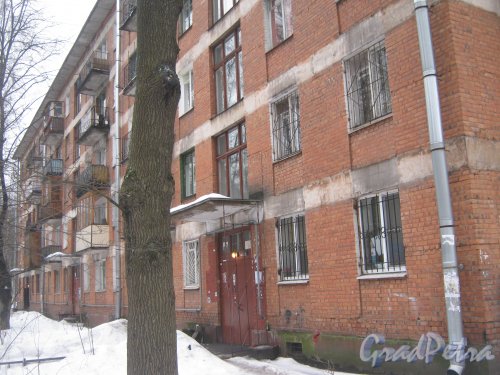 Светлановский пр., дом 55. Общий вид со стороны парадных. Фото 8 февраля 2013 г.
