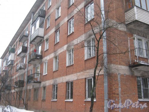 Светлановский пр., дом 53. Общий вид со стороны фасада. Фото 8 февраля 2013 г.