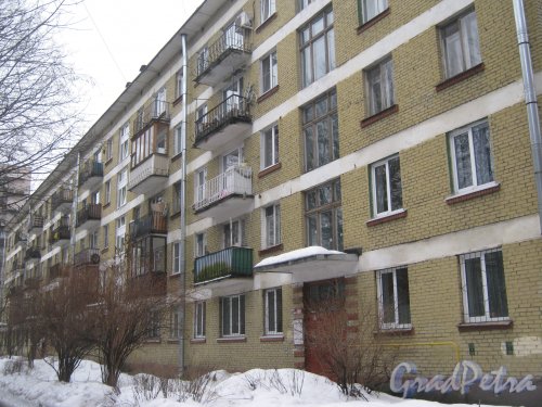 Светлановский пр., дом 51. Общий вид со стороны дома 53. Фото 8 февраля 2013 г.