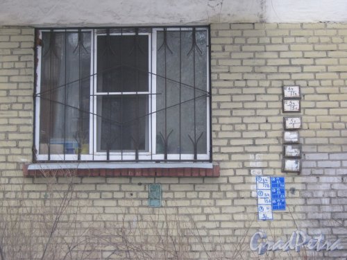 Светлановский пр., дом 51. Окно первого этажа. Фото 8 февраля 2013 г.
