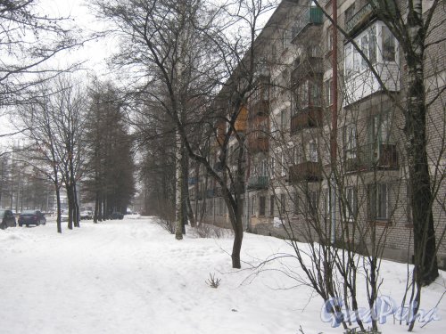 Светлановский пр., дом 61. Общий вид со стороны Светлановского пр. Фото 8 февраля 2013 г.
