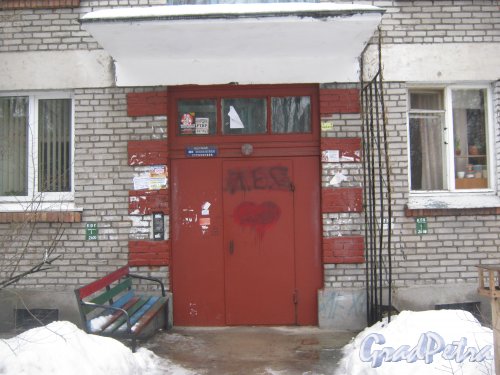 Светлановский пр., дом 61. Парадная. Фото 8 февраля 2013 г.