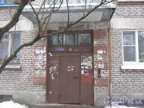 Светлановский пр., дом 63. Парадная. Фото 8 февраля 2013 г.