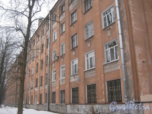 Тихорецкий пр., дом 5, корпус 2. Общий вид со стороны фасада. Фото 8 февраля 2013 г.