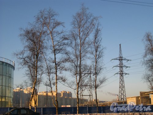 Участок до строительства жилого комплекса «Viva». Вид с Московского шоссе. Фото 25 февраля 2013 года.
