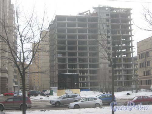 Пр. Энгельса, дом 117, корпус 2. Общий вид строящегося здания. Фото март 2013 г.