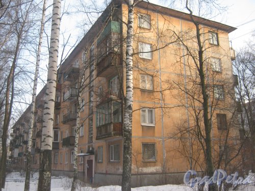 Тихорецкий пр., дом 9, корпус 8. Фрагмент здания со стороны дома 9 корпус 9. Фото 17 февраля 2013 г.
