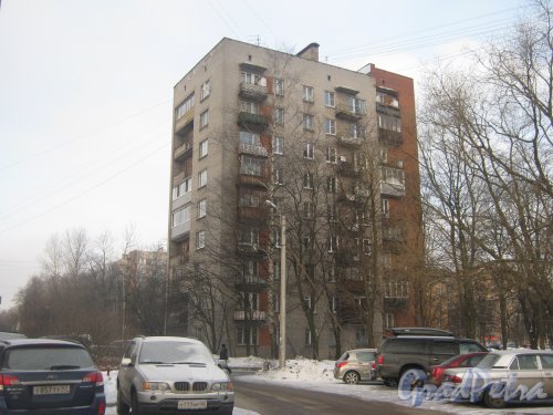 Тихорецкий пр., дом 11, корпус 2. Общий вид со стороны дома 11 корпус 4. Фото 17 февраля 2013 г.