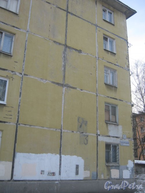 Тихорецкий пр., дом 9, корпус 3. Фрагмент здания со стороны дома 13. Фото 17 февраля 2013 г.